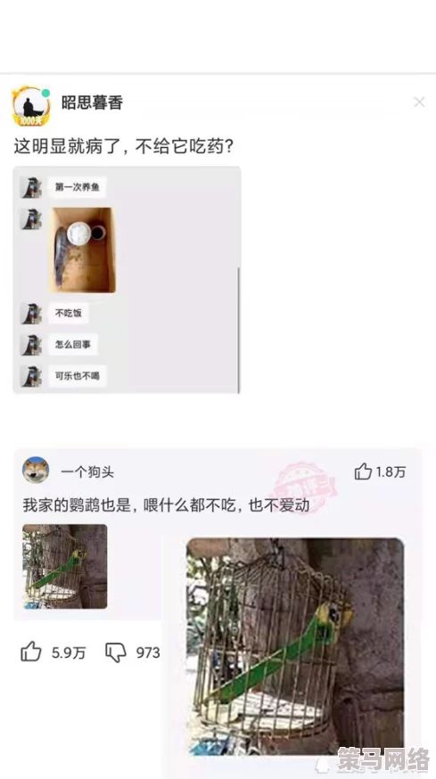 女生裸视频引发热议，网友纷纷讨论隐私保护与网络安全的重要性，呼吁加强相关法律法规的完善