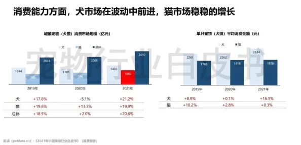 狗狗猛涨精肉狗大壮市场占有率，行业分析显示消费者偏好持续上升，推动品牌竞争加剧与产品创新频繁