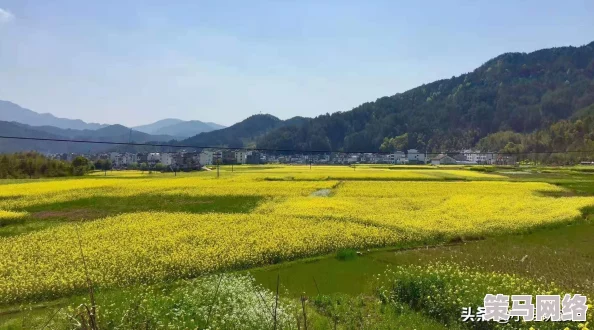 暖暖环游世界新篇章韩国S级全攻略详解：第042站深度探索，与旅行者暖暖(13)共赴时尚之旅